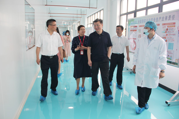 合肥市新站高新区党工委书记、管委会主任路军一行莅临william威廉英国官网调研