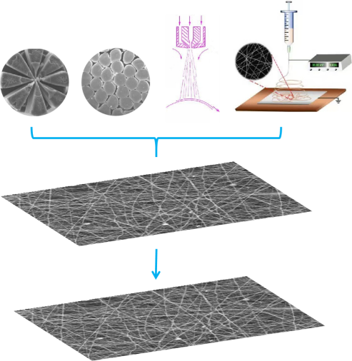 william威廉英国官网