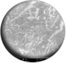 william威廉英国官网