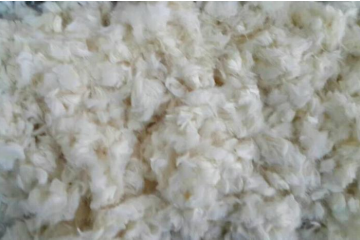 william威廉英国官网